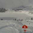 Galltuer_2018_CH_029.jpg